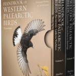 Handbook of Western Palearctic Birds: Passerines